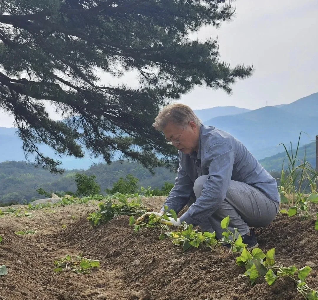哇！免费小菜园在嘉兴郊区