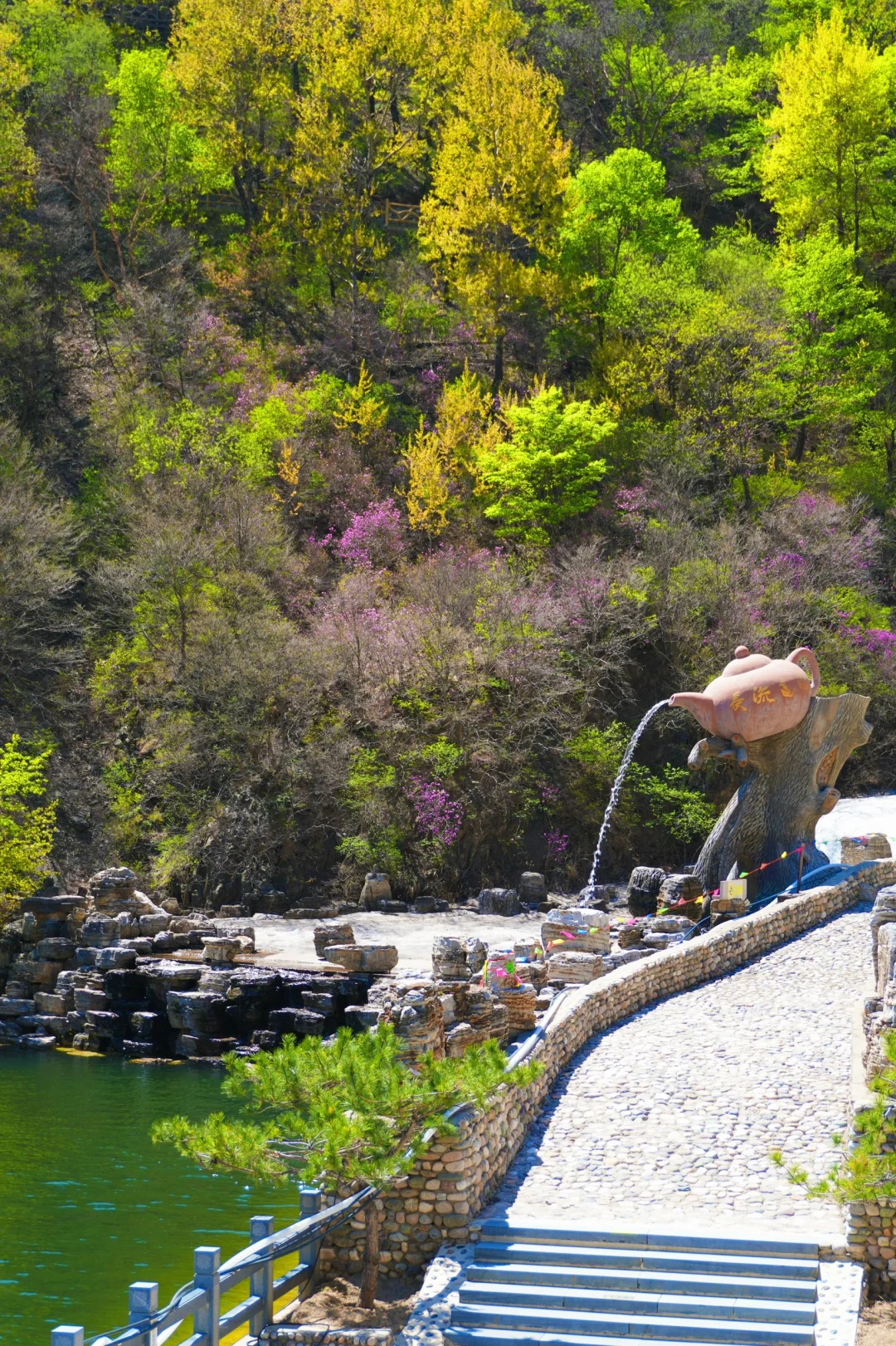 反向旅游是真的香❗️承包整片风景，野心友好