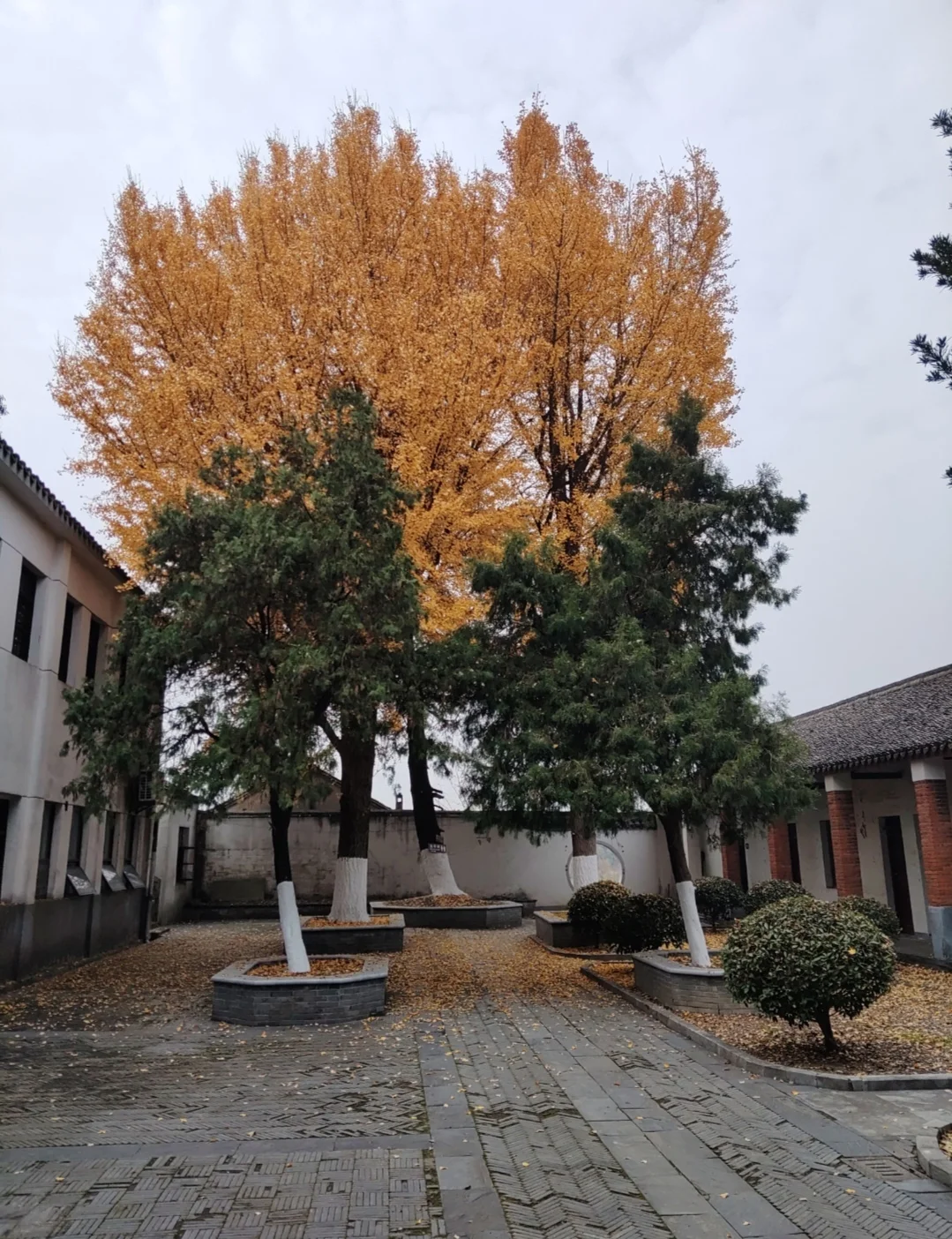 南京还有什么我没去过的地方