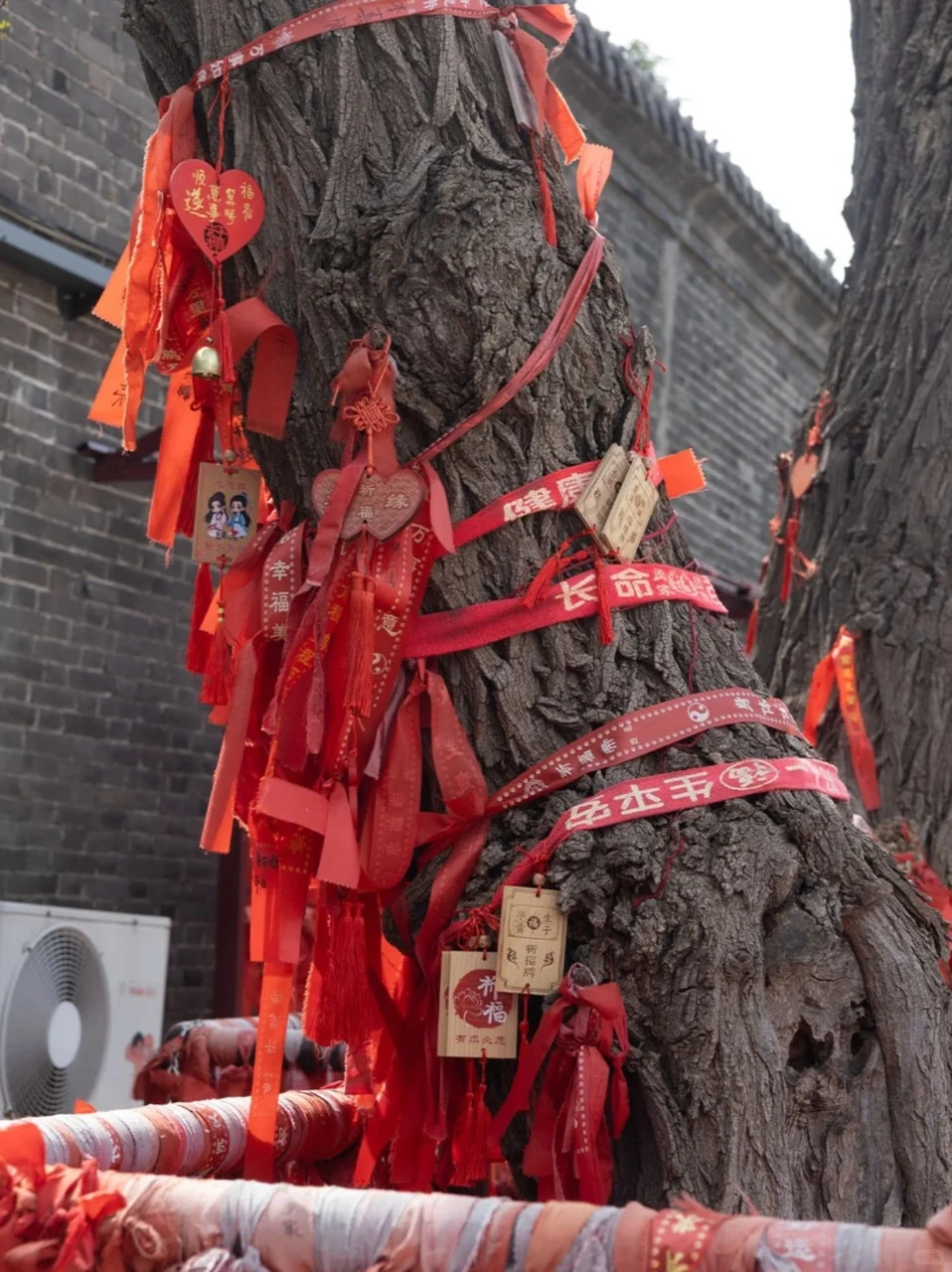 邯郸必打卡！9 个景点直接美到词穷！