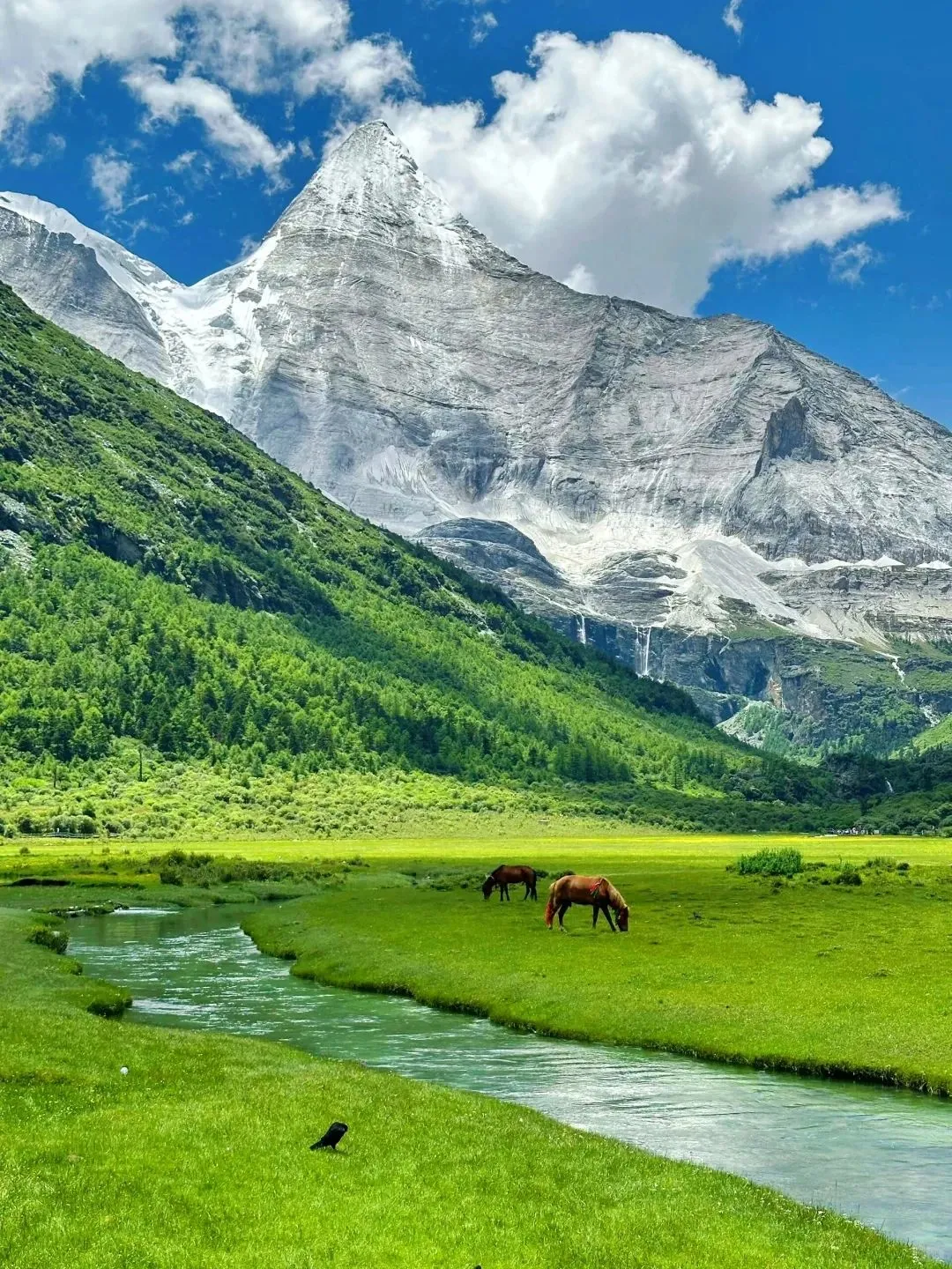 接下来,川西的夏天直接封神!!!