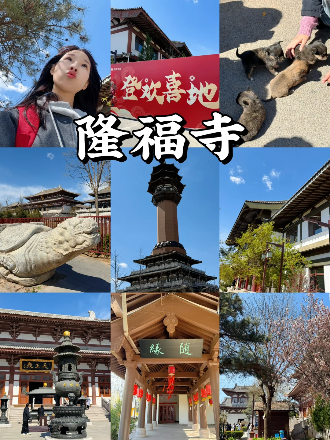 廊坊一日游攻略｜一个人逛遍廊坊怎么玩📍