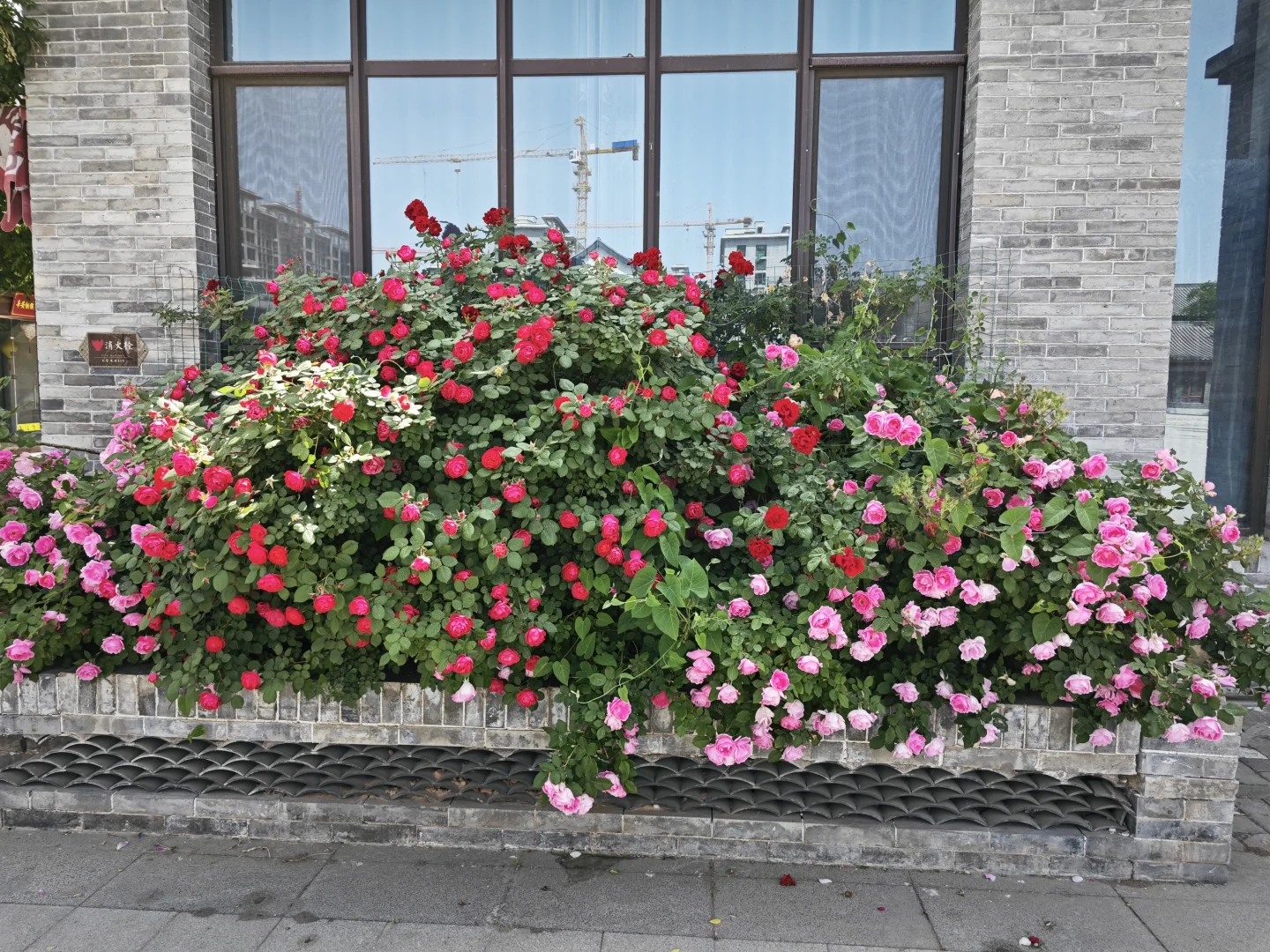 避雷赵都水镇吧，已经凉了