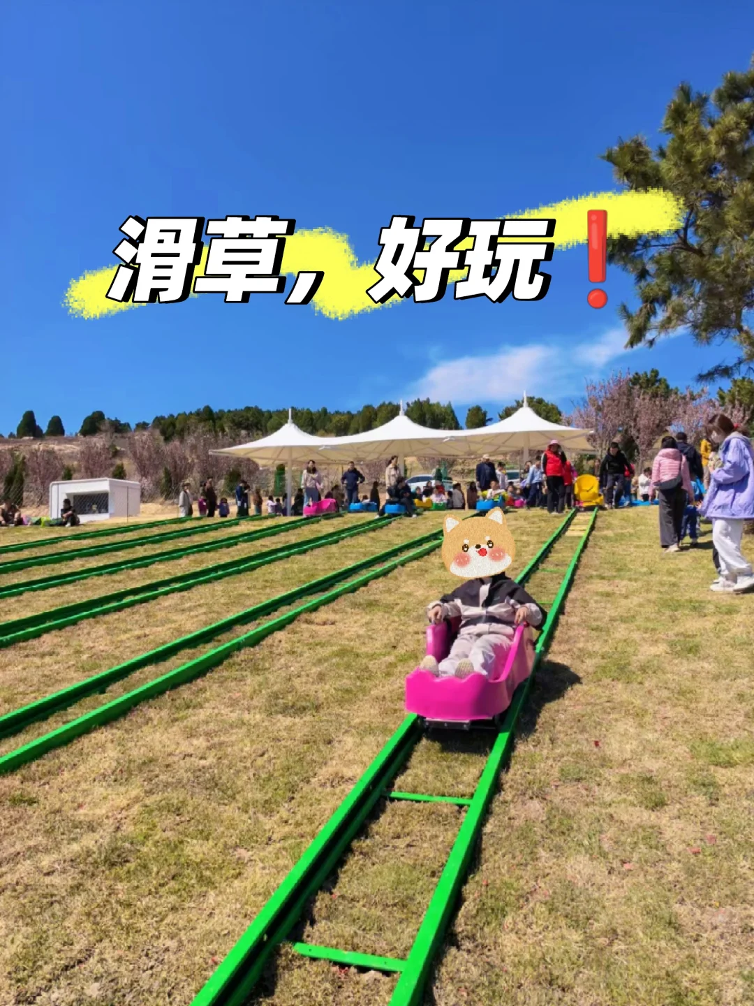 济南·来了❗“天上的街市”五一节目单❗❗