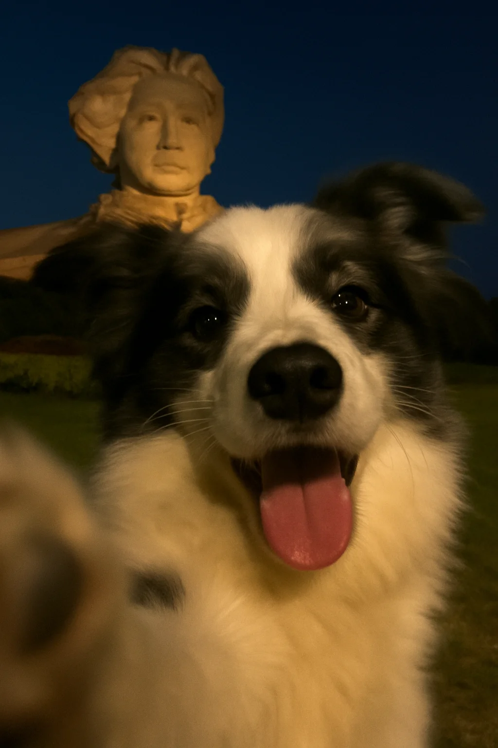 五一景点打卡攻略