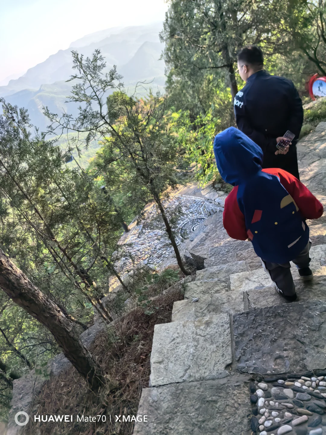 今儿，这个山头我们承包啦