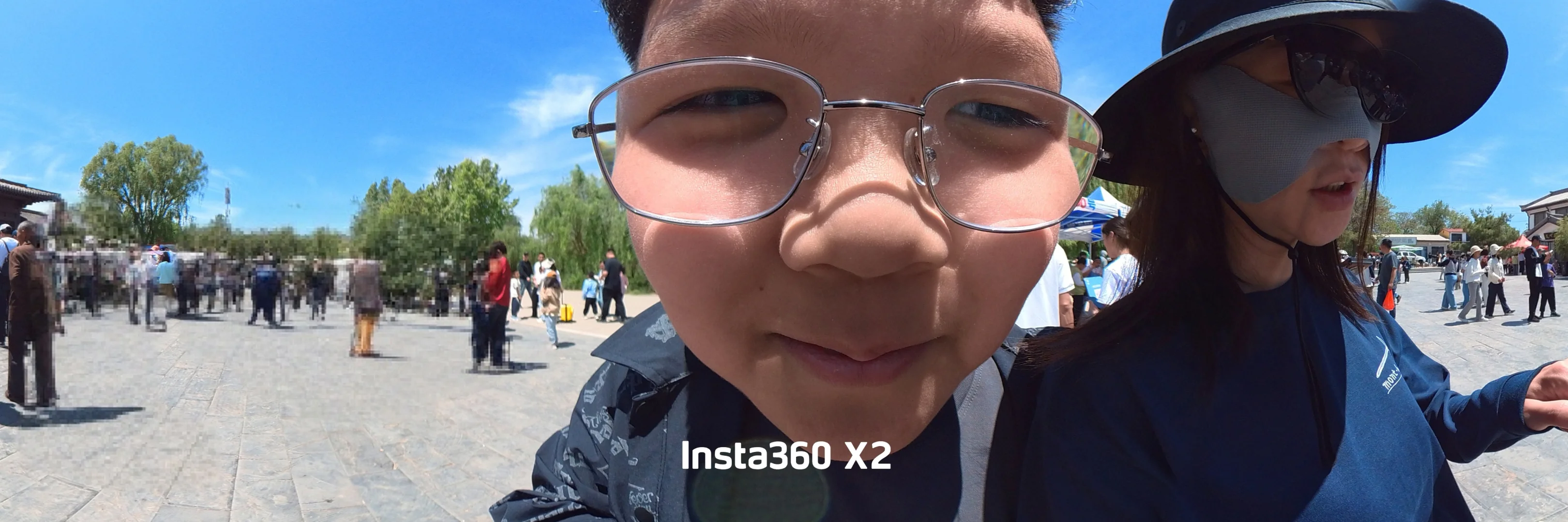 一寺，一古树，舍利镇塔底！