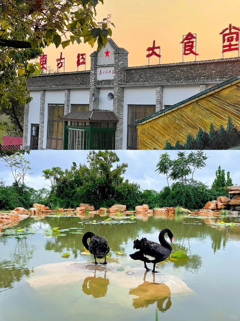 邯郸旅游攻略｜9 个景点美到挪不开眼！