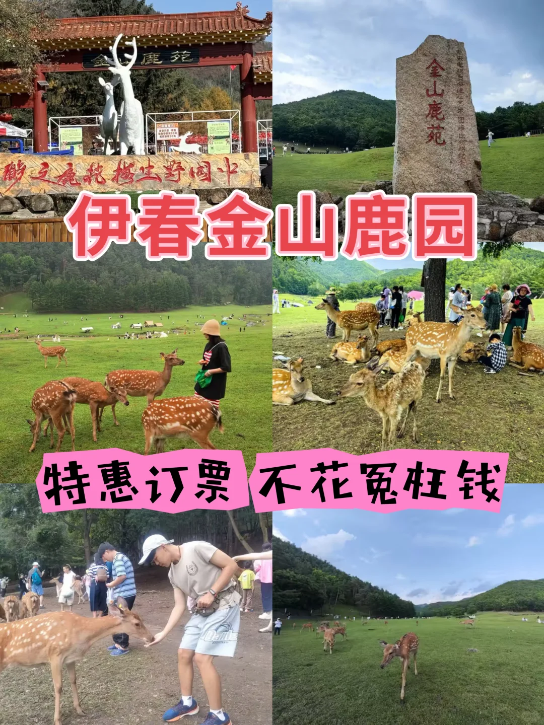 伊春金山鹿苑订票
