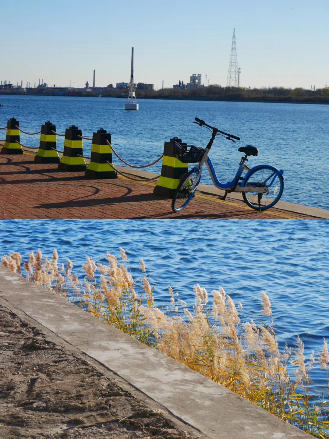 冬天的照片夏天发✨️等着海鸥再出发🪽