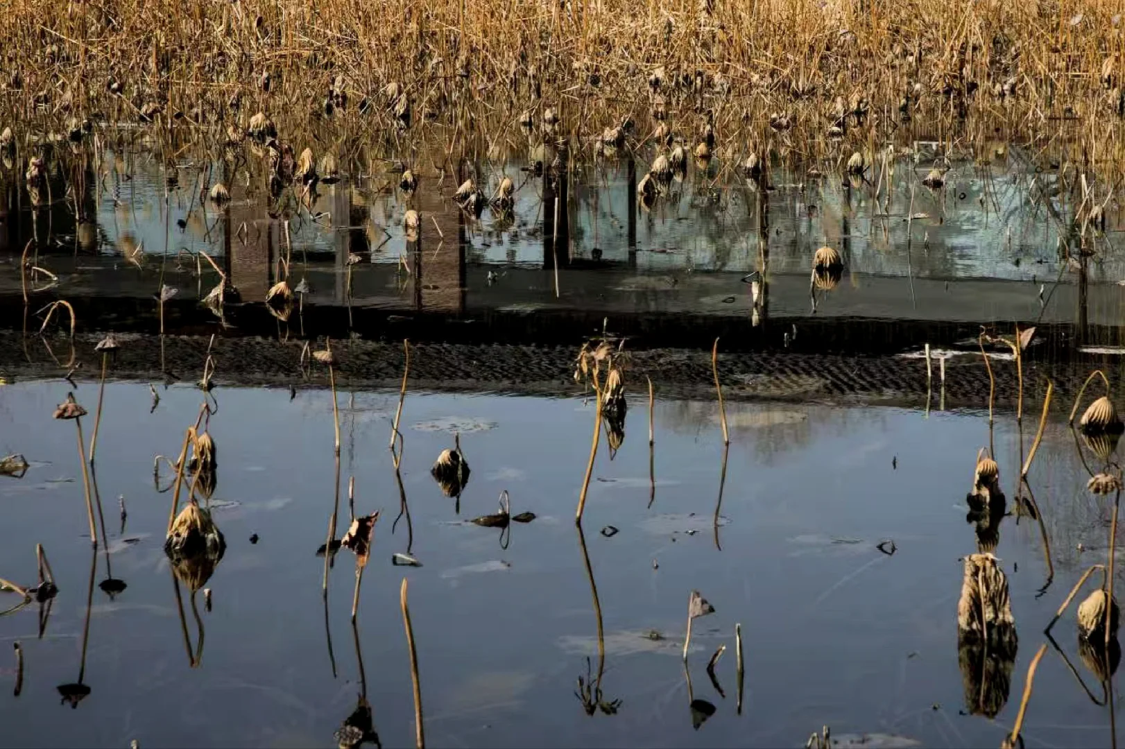 五一人少，清静的铁塔景区