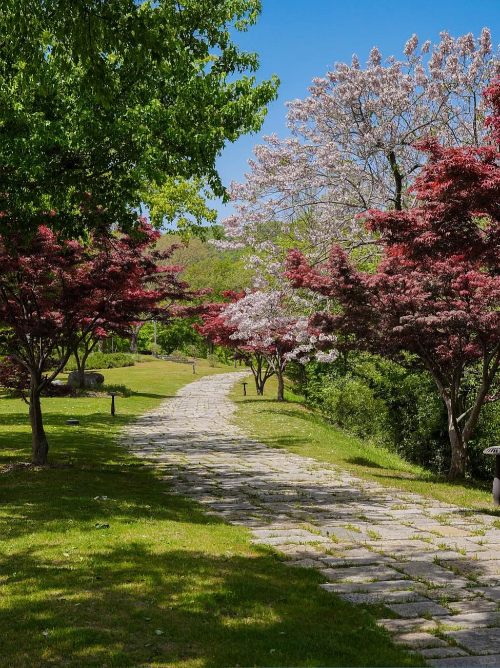 牛首山整个五月都可以瞻礼舍利，你们知道吗？