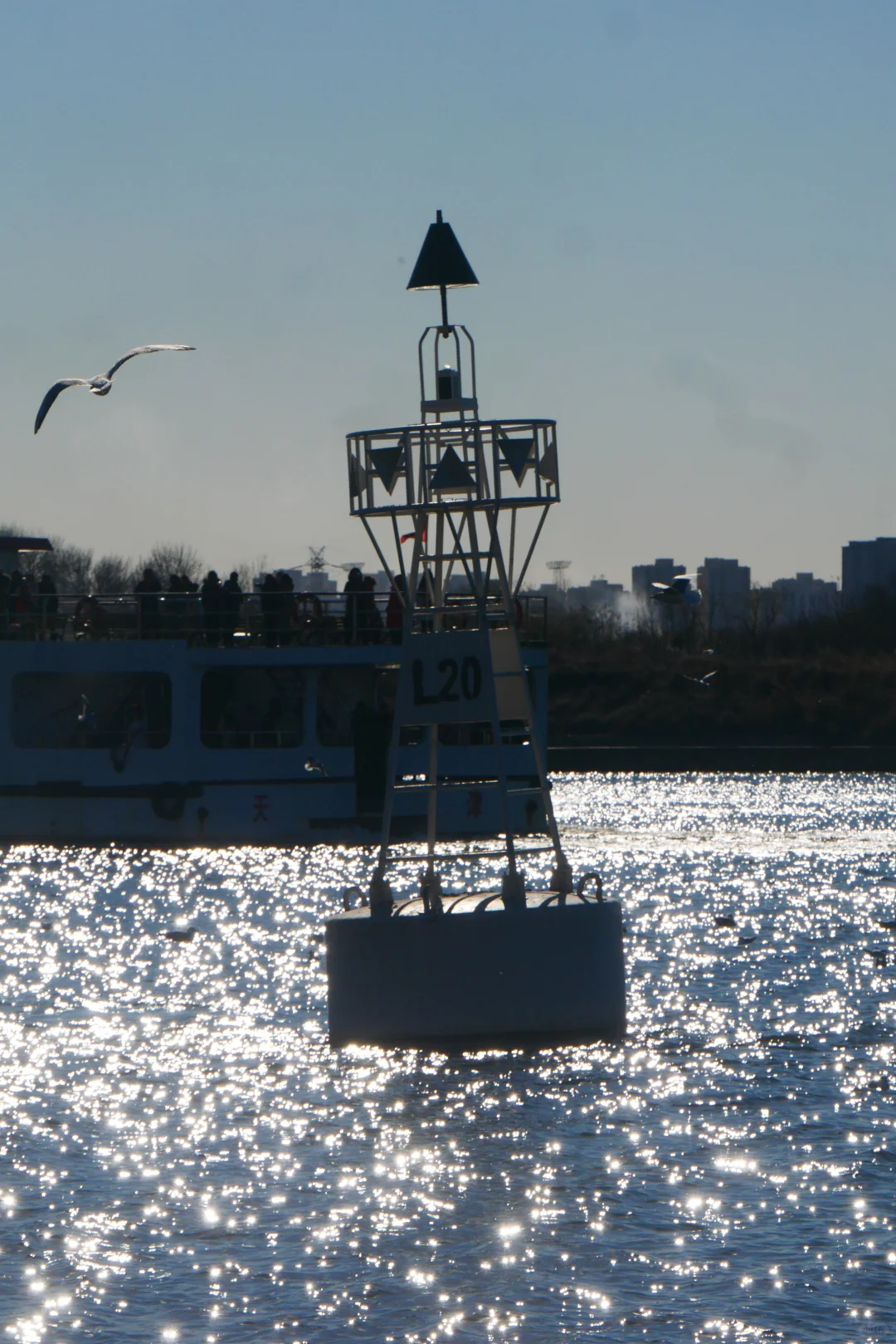 冬天的照片夏天发✨️等着海鸥再出发🪽