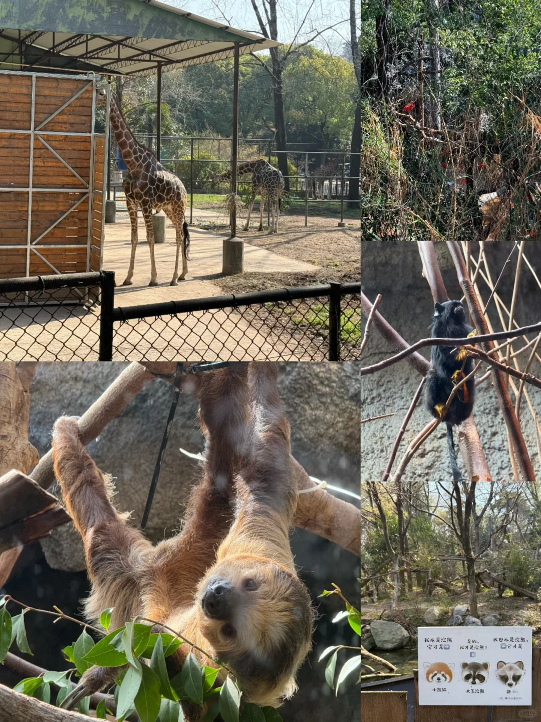 淄博→南京 两天一晚特种兵旅行攻略