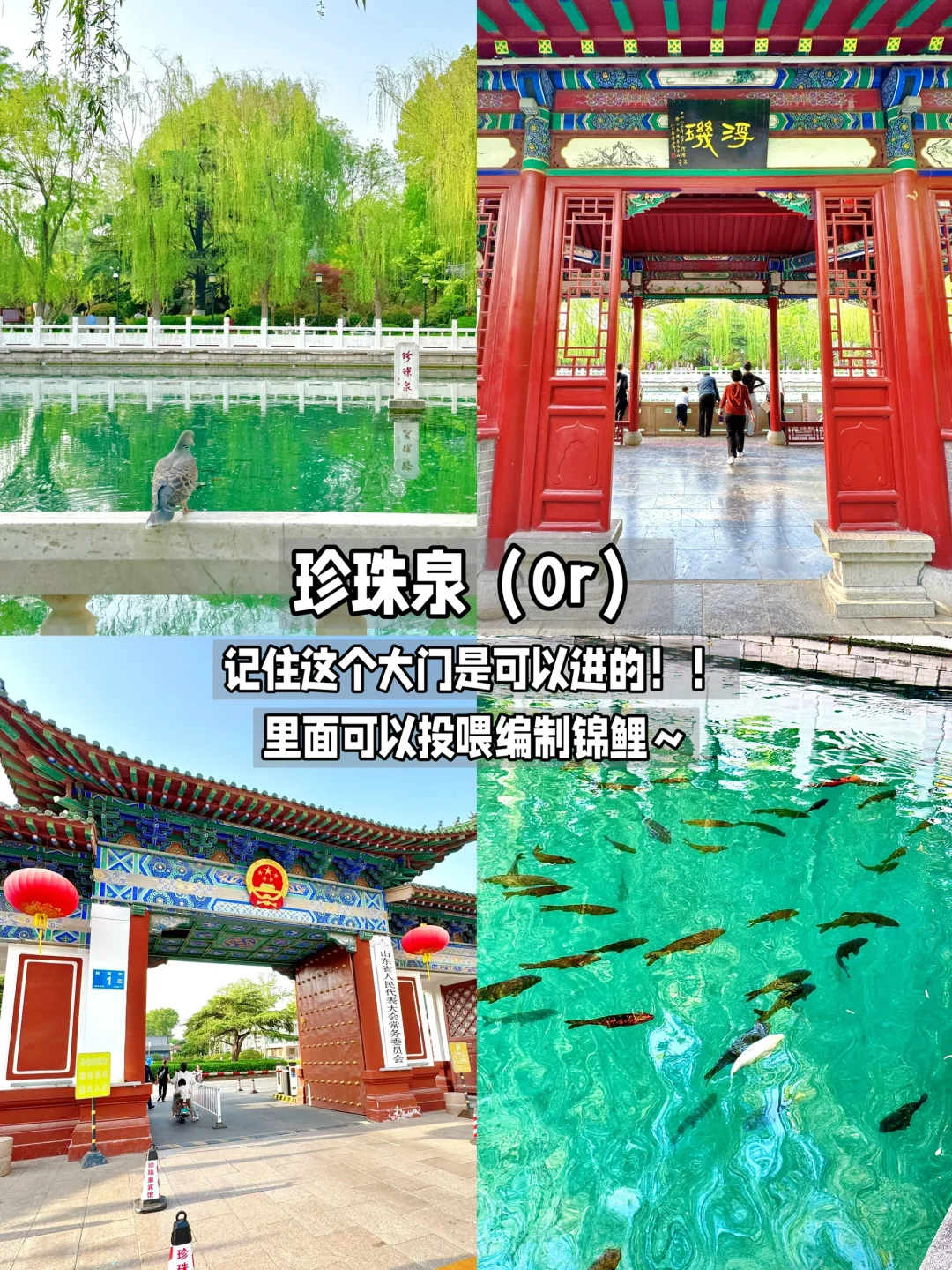 济南！真不缺好逛的地方！（都免fei。。。！！