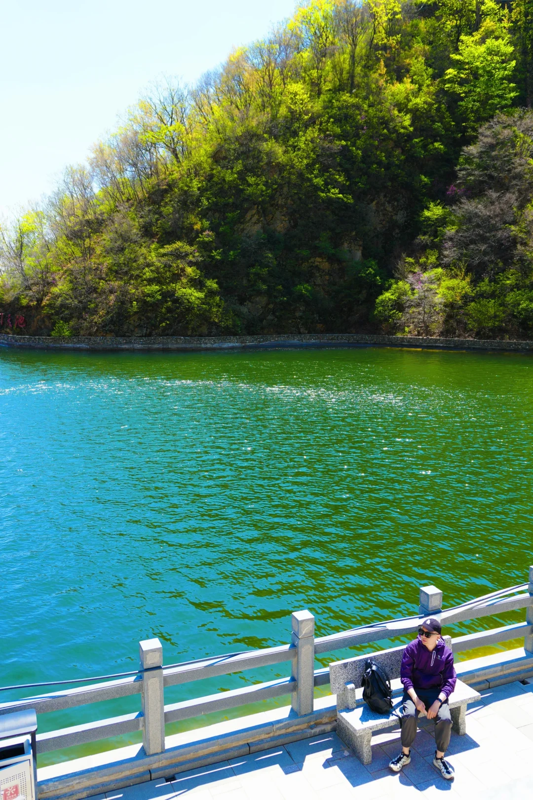 反向旅游是真的香❗️承包整片风景，野心友好