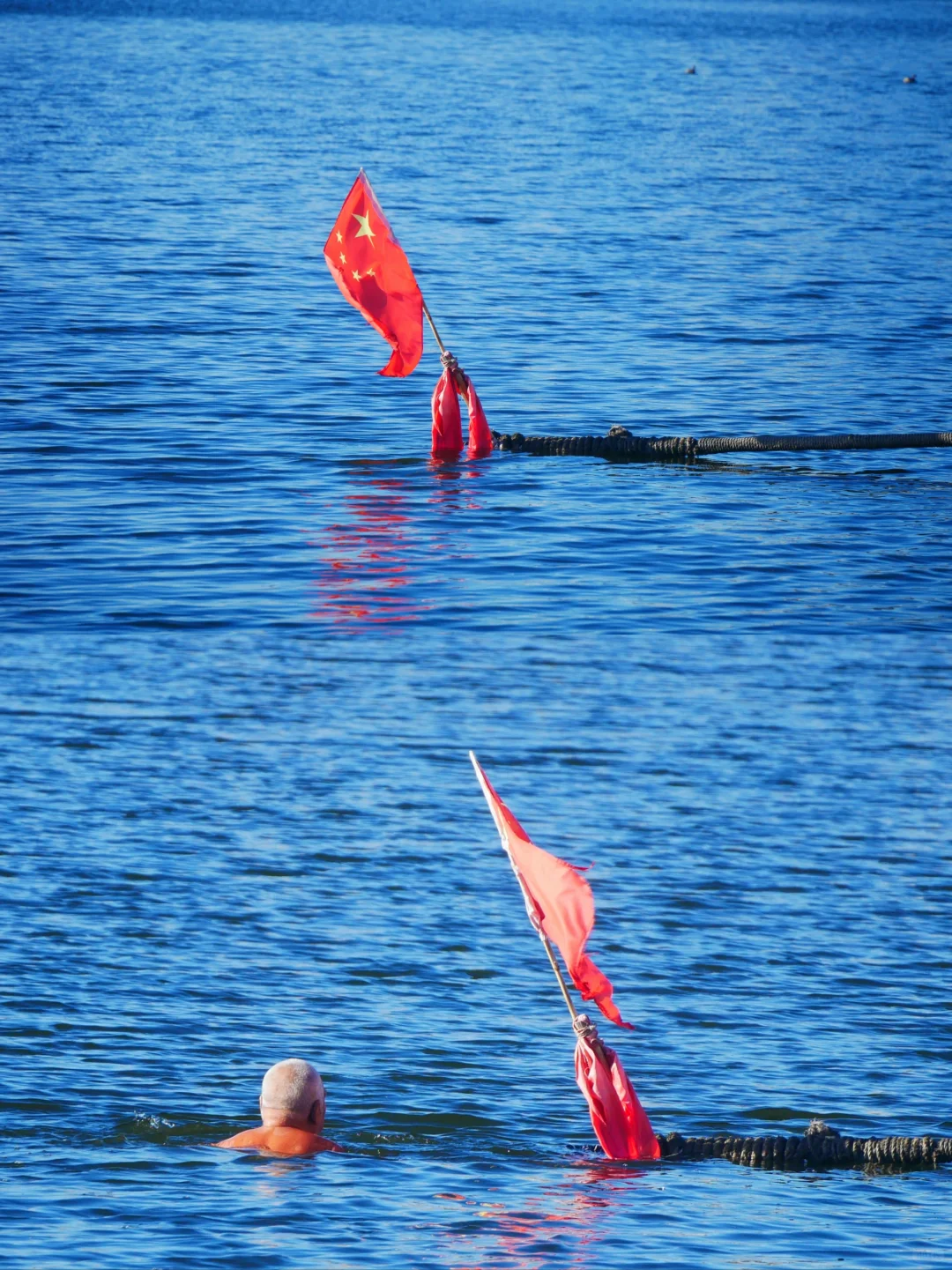 冬天的照片夏天发✨️等着海鸥再出发🪽
