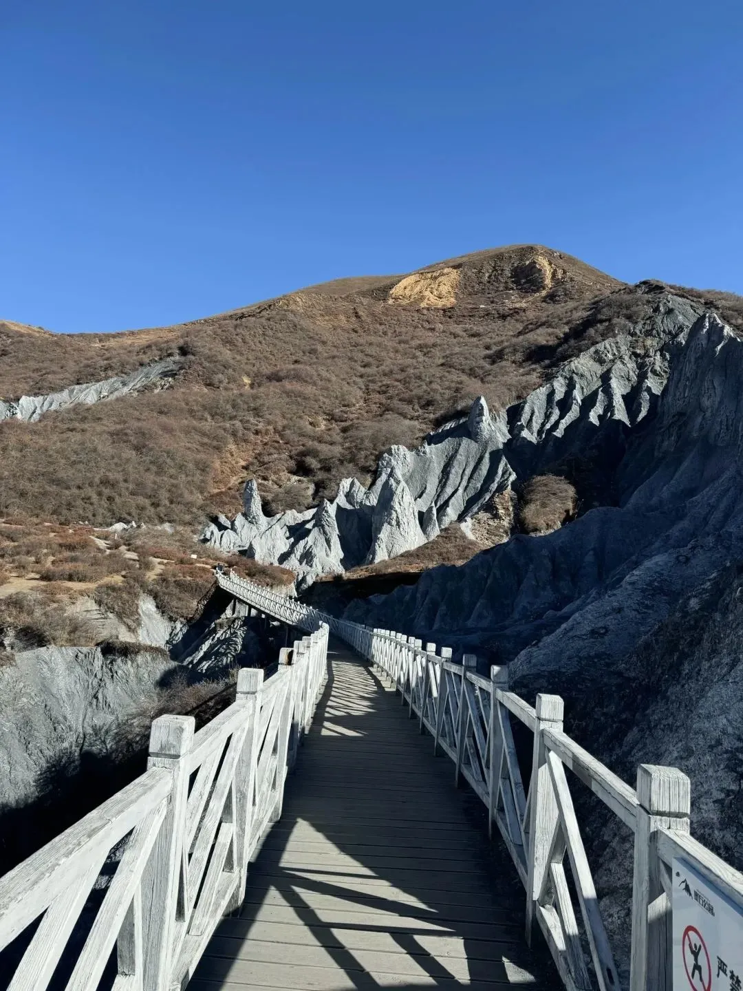 接下来,川西的夏天直接封神!!!