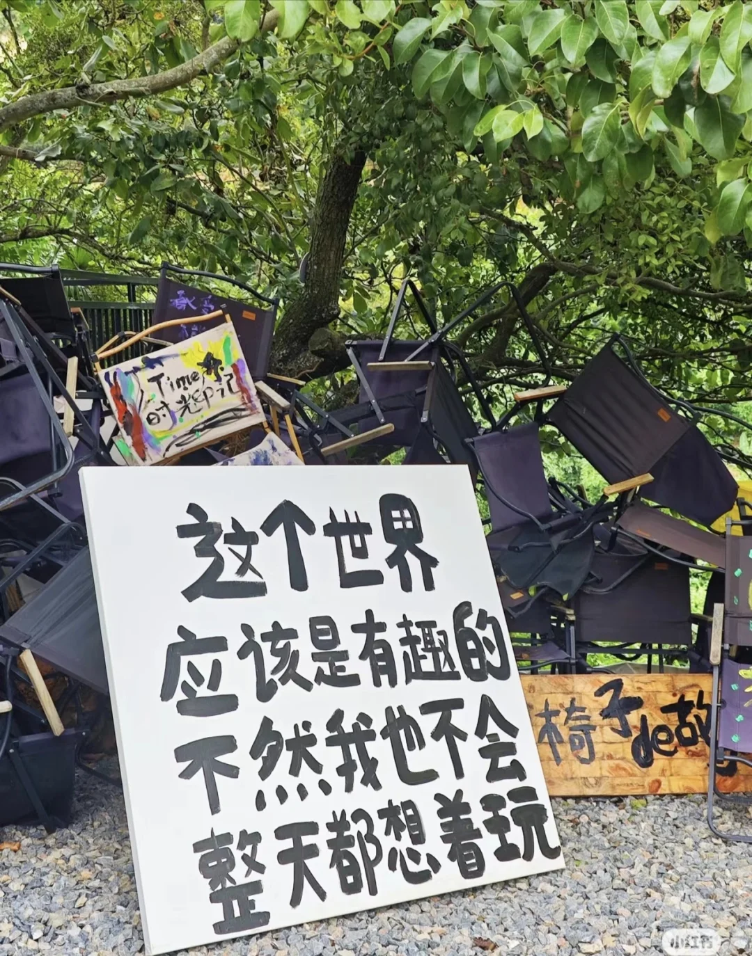 出去玩-保姆级推荐