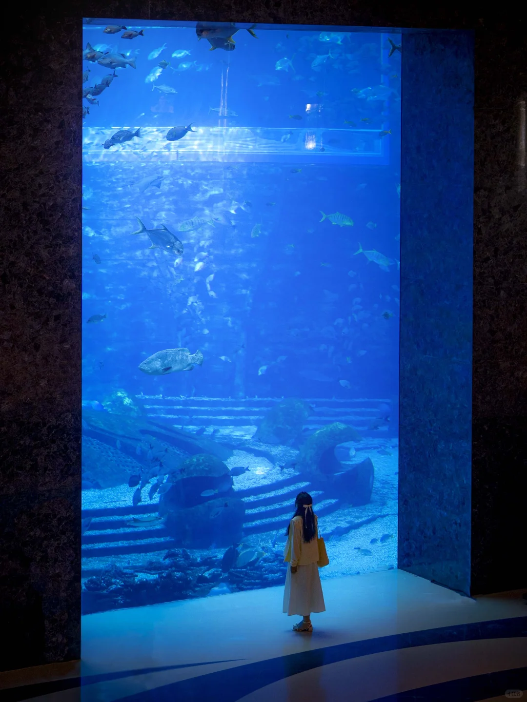 人生建议：拍完这11张人生照片再离开海南！！！