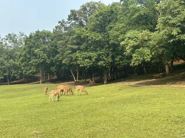 伊春金山鹿苑订票