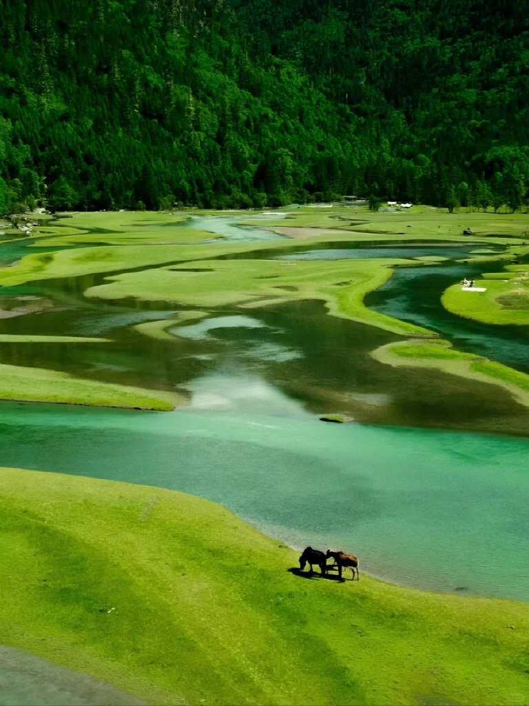 比起九寨沟，川西这个小众景点更让我惊艳