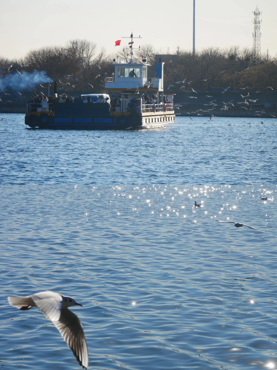 冬天的照片夏天发✨️等着海鸥再出发🪽