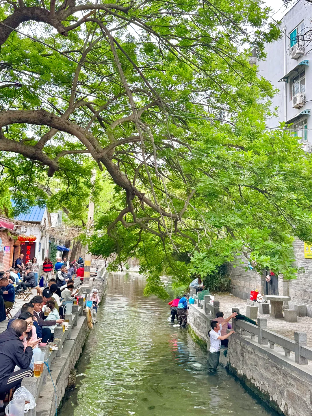 济南！真不缺好逛的地方！（都免fei。。。！！