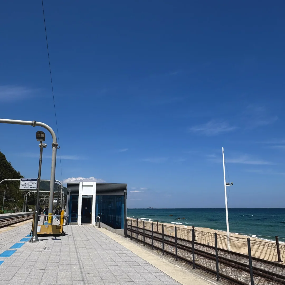 🌊江陵超全旅游攻略｜韩剧同款海边~