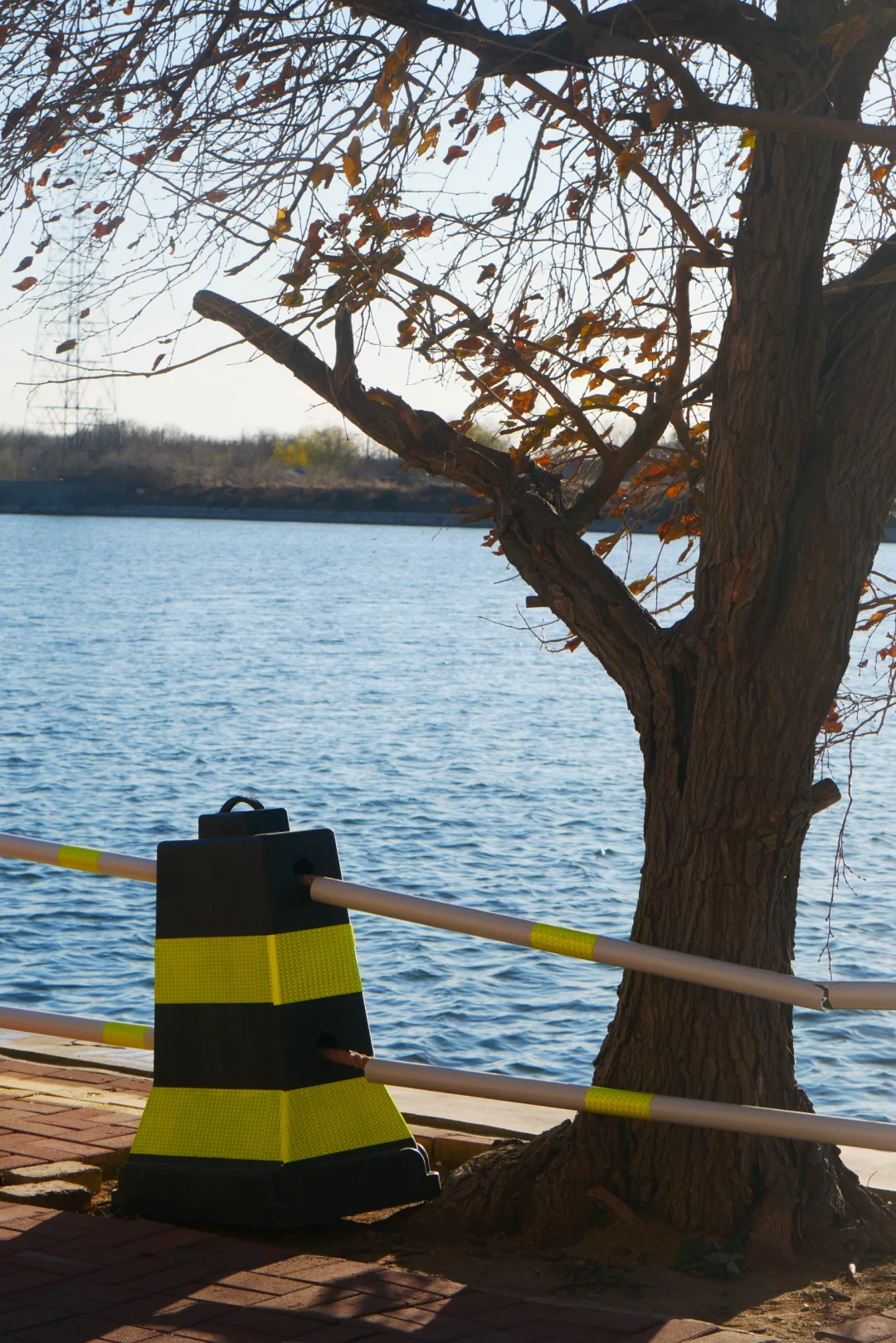冬天的照片夏天发✨️等着海鸥再出发🪽