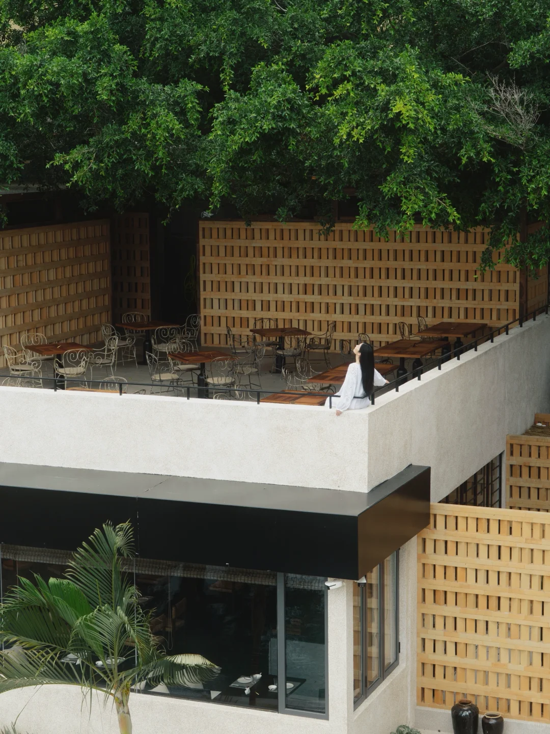 深圳·在避世前