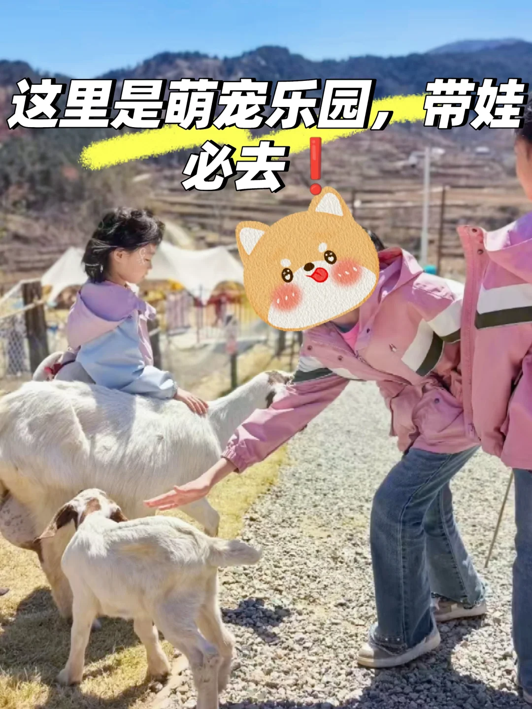 济南·来了❗“天上的街市”五一节目单❗❗