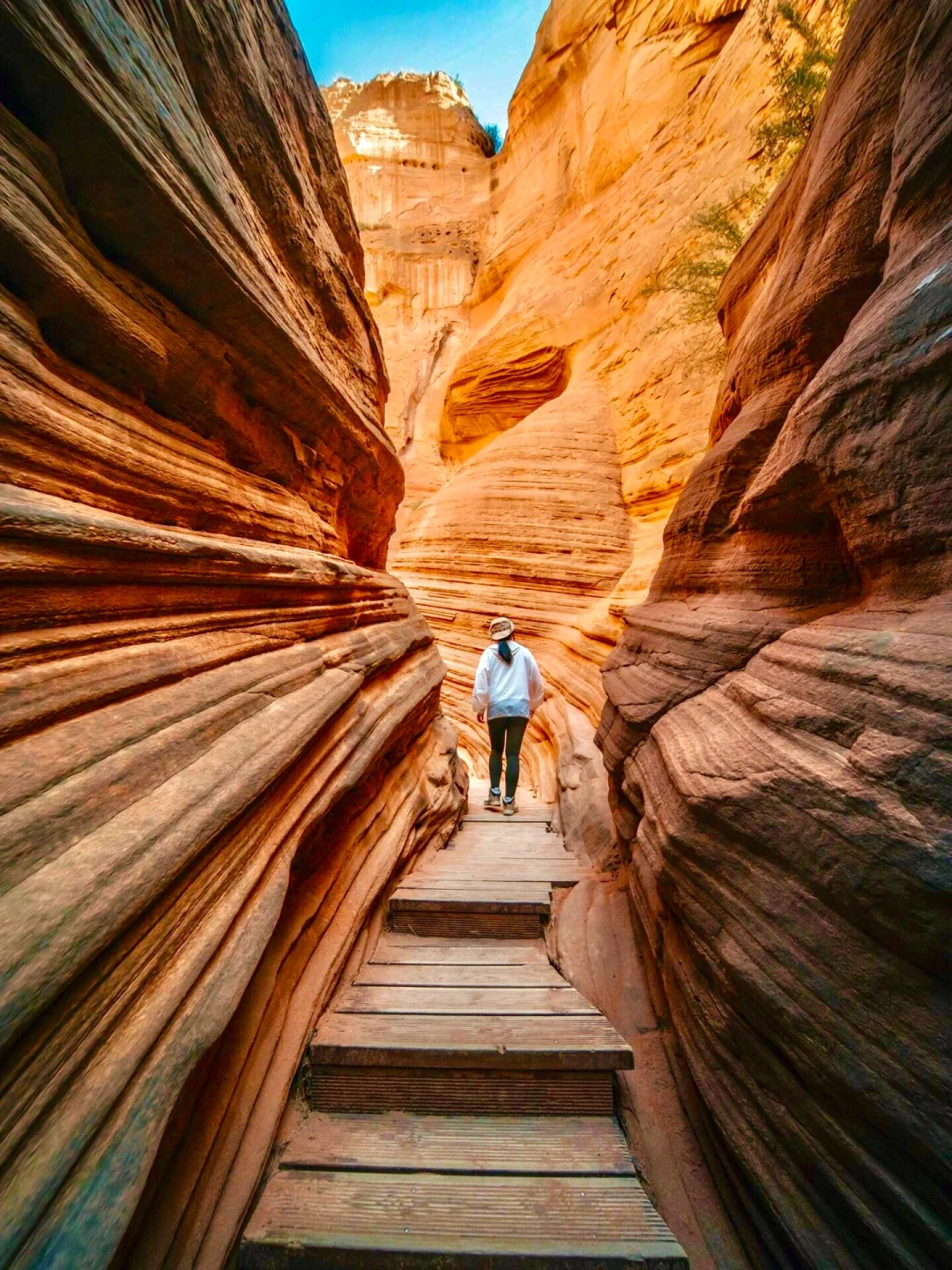 《国家地理》没骗我!最震撼的羚羊谷竟在陕北!