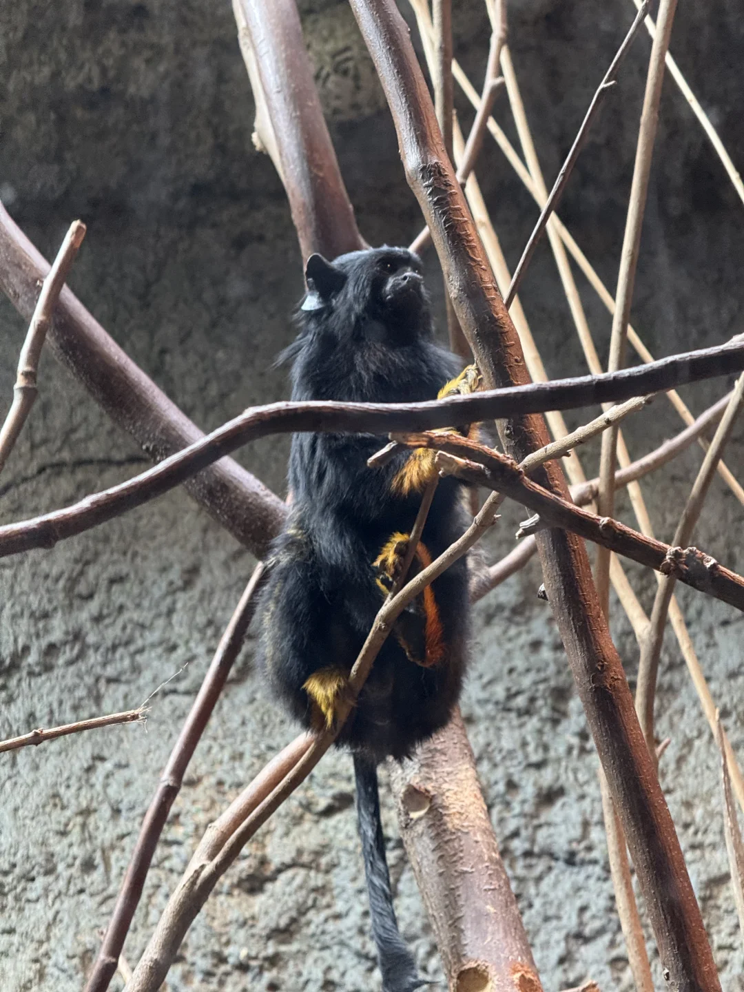 淄博→南京 两天一晚特种兵旅行攻略