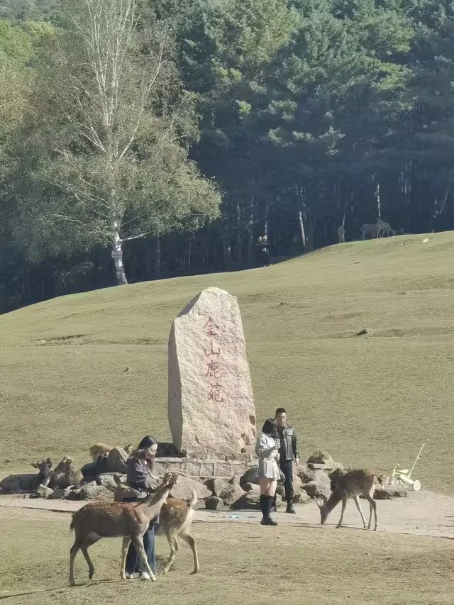 伊春金山鹿苑订票