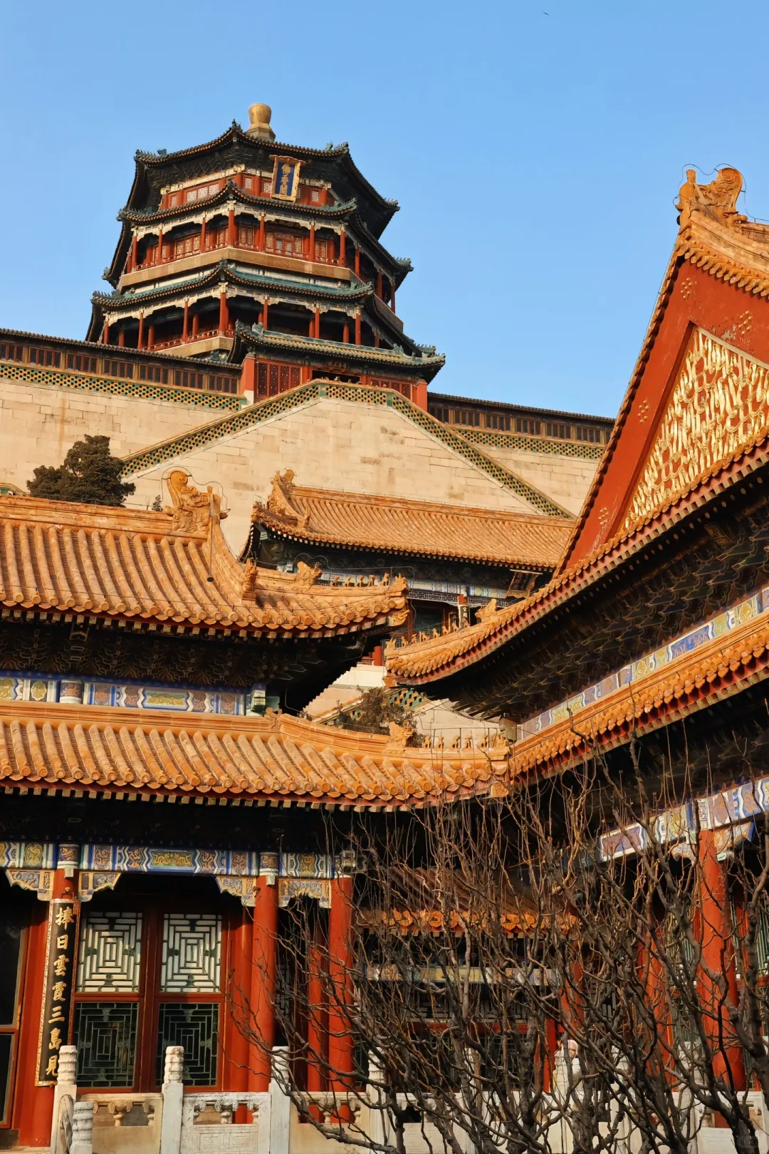 这个古建筑也太好看了吧！‼️