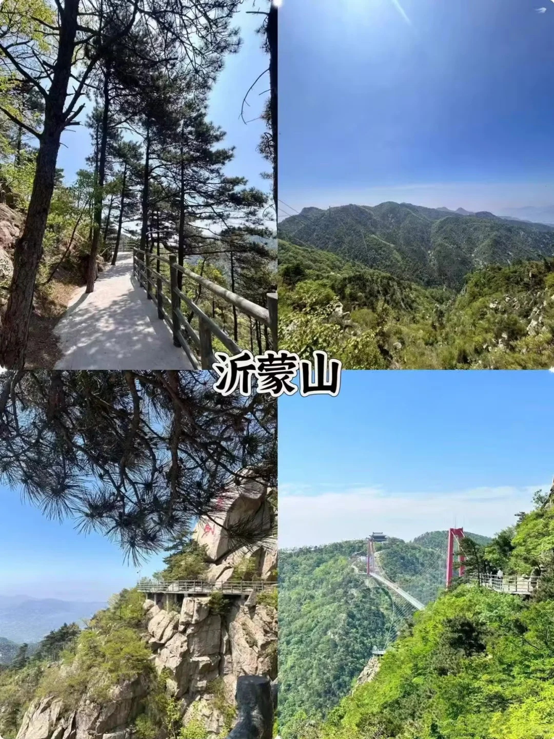 山东周边游｜解锁6大宝藏地，开启如歌旅程✨