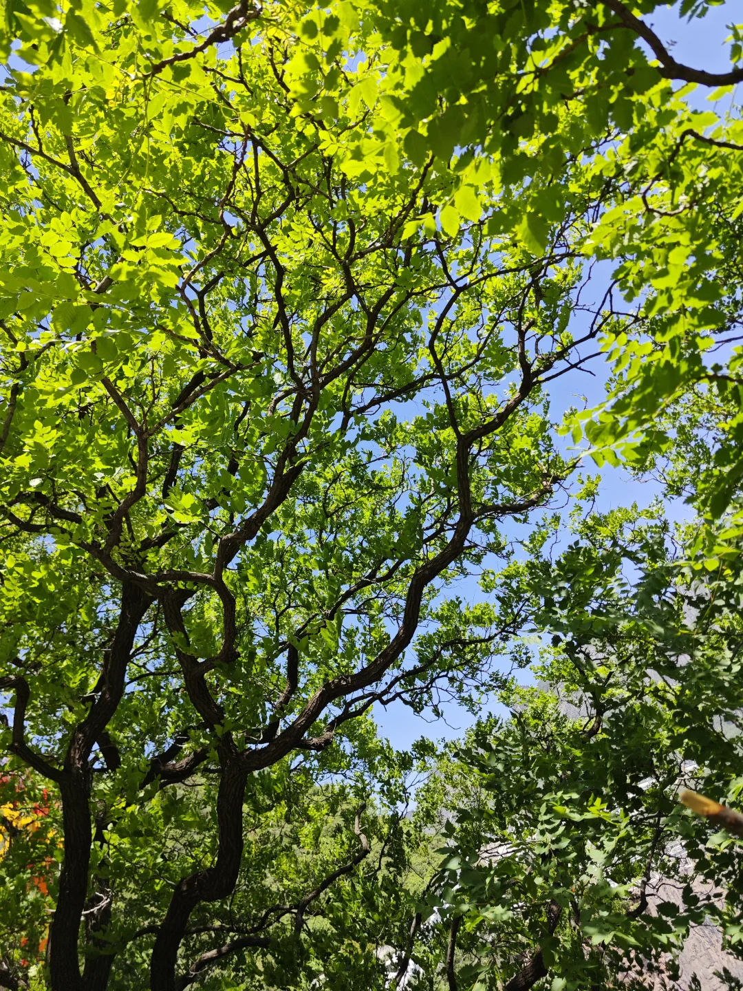 宝泉是个好地方