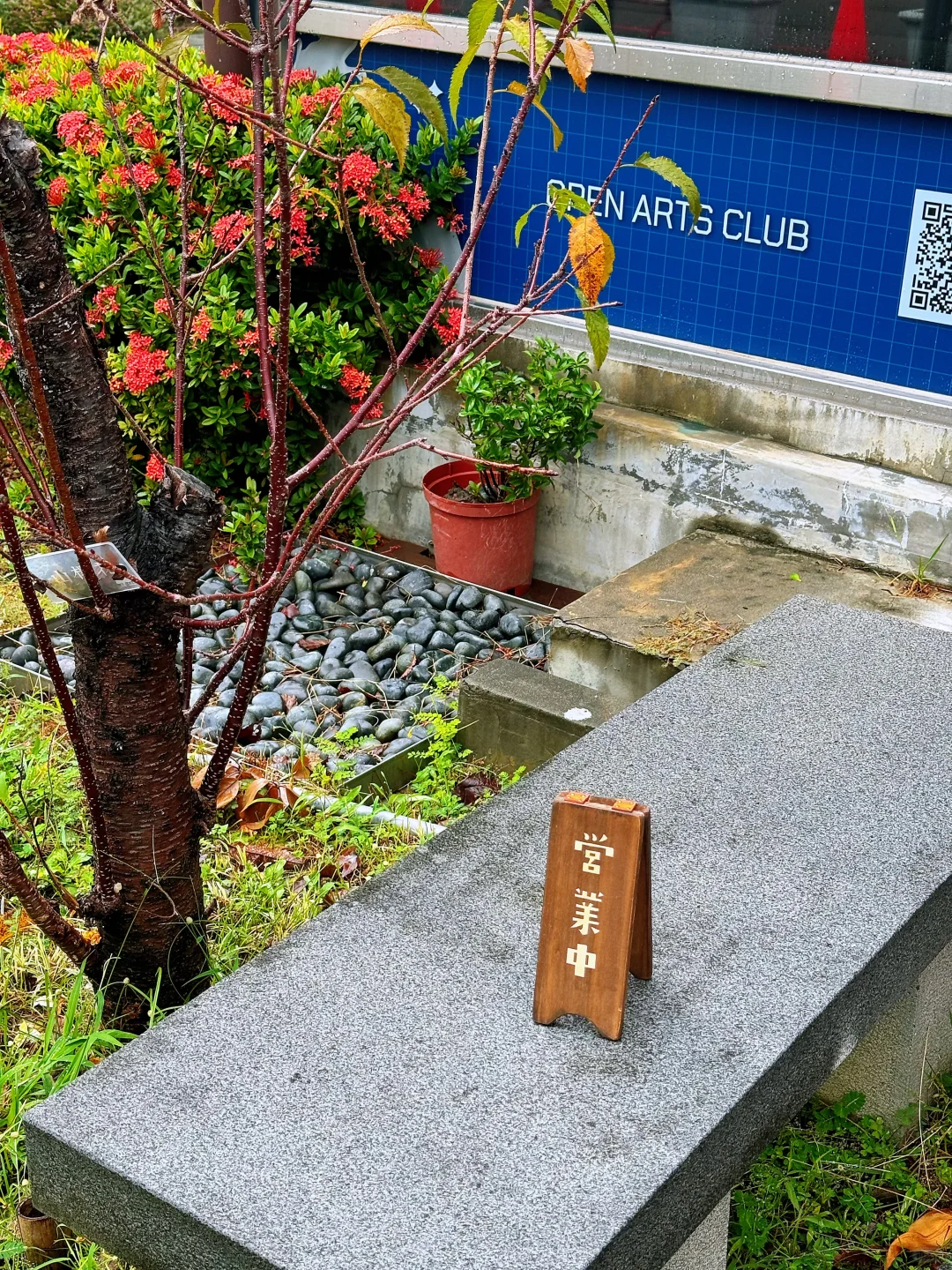 📍台中 | 一日游的小众0门票景点推荐！✨