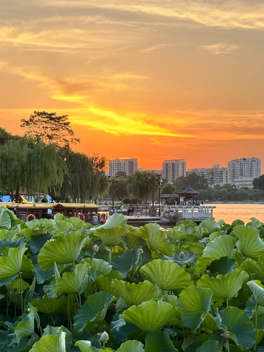 济南！真不缺好逛的地方！（都免fei。。。！！