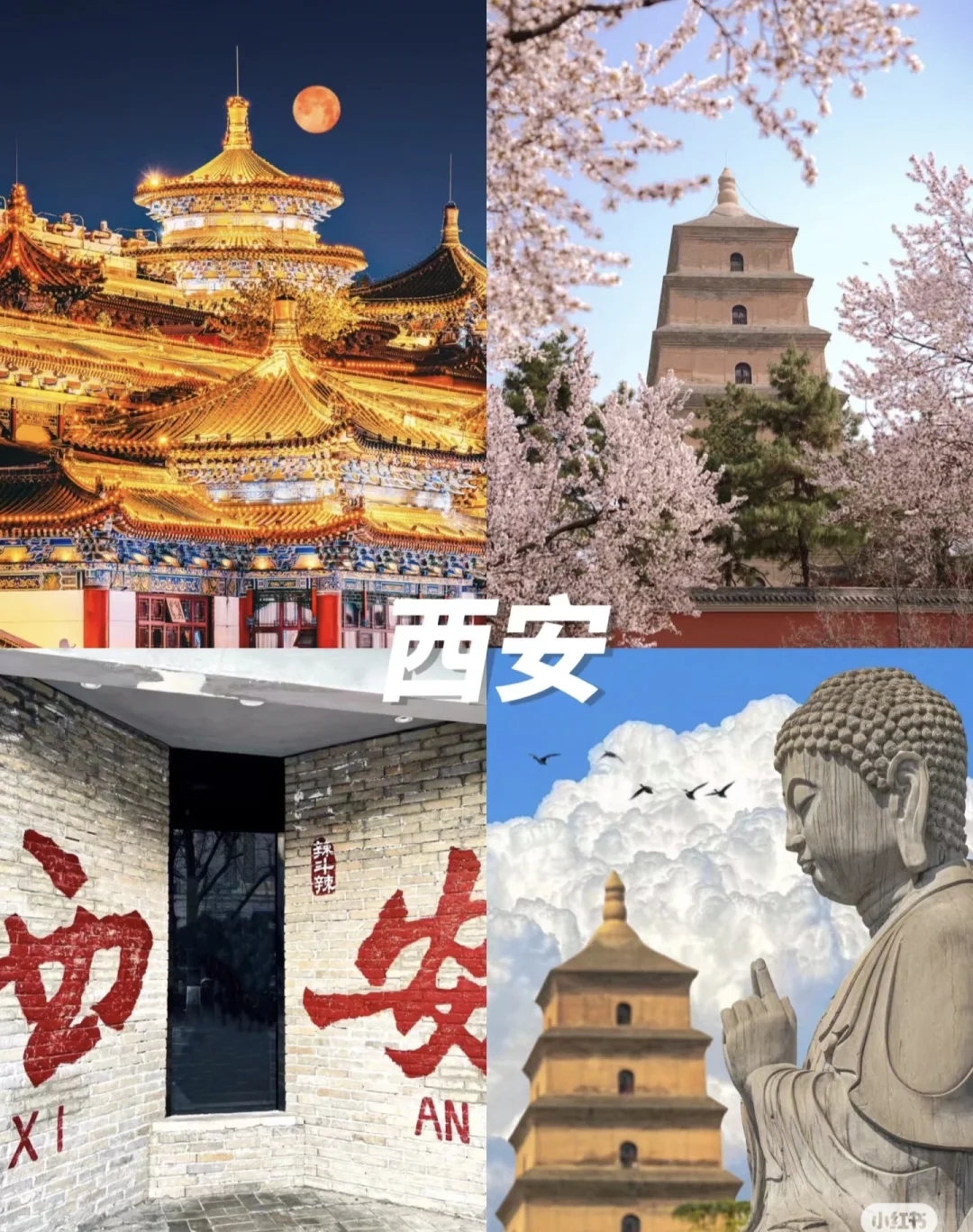 出去玩-保姆级推荐