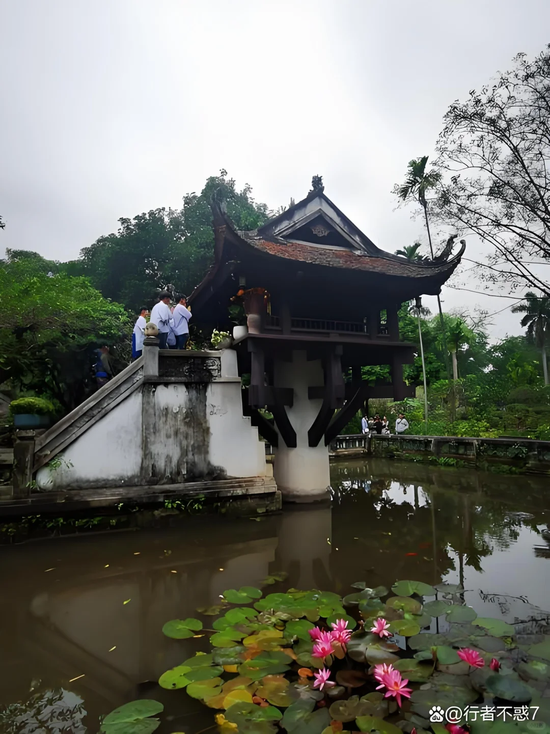 旅途中的美景，洗眼神器