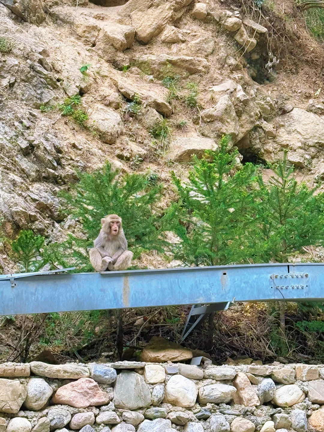 🌲官鹅沟👉差评，差评，差评！