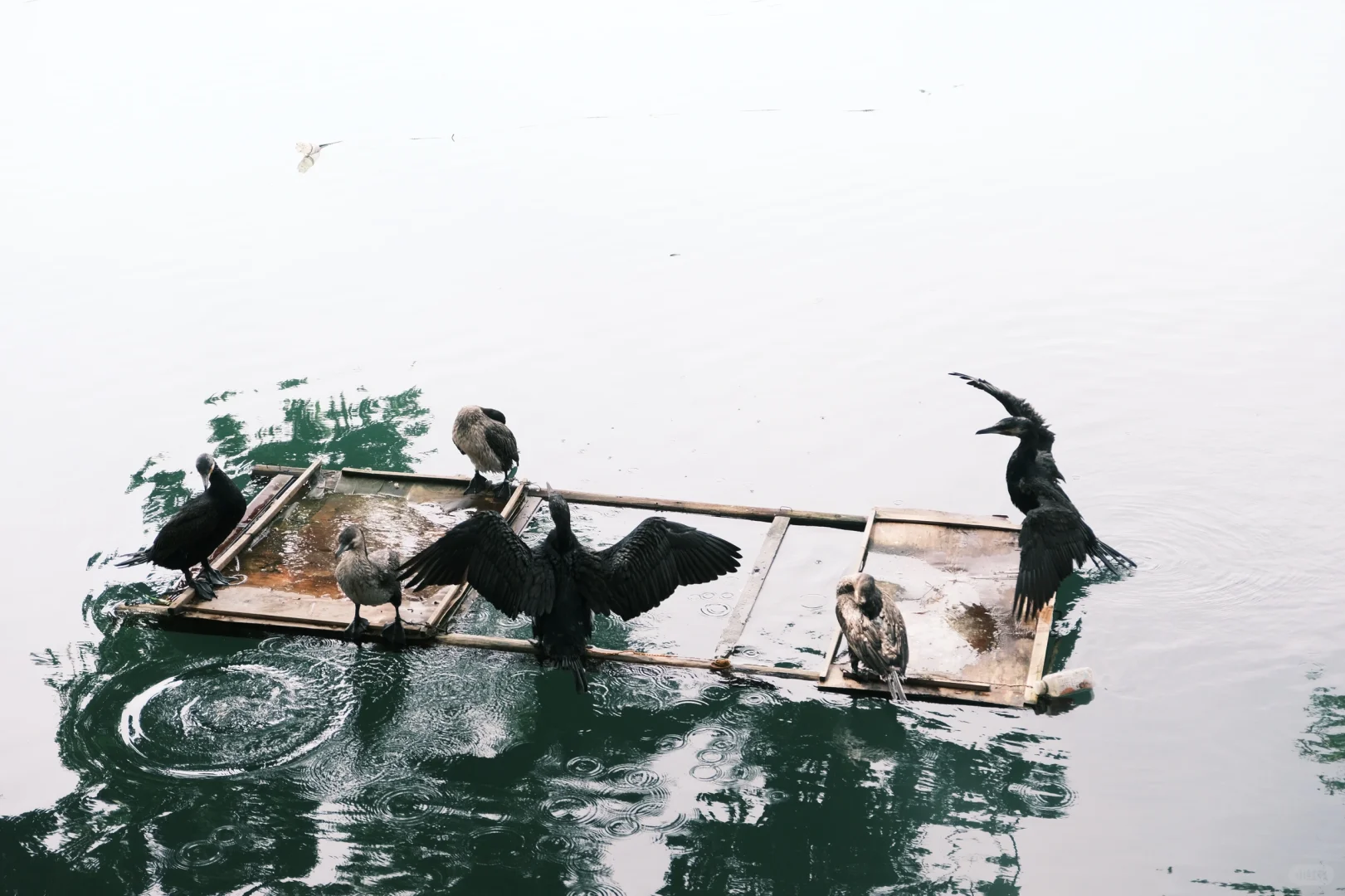 听劝｜嫌凤凰古城人多的来茶峒，体验更好👍