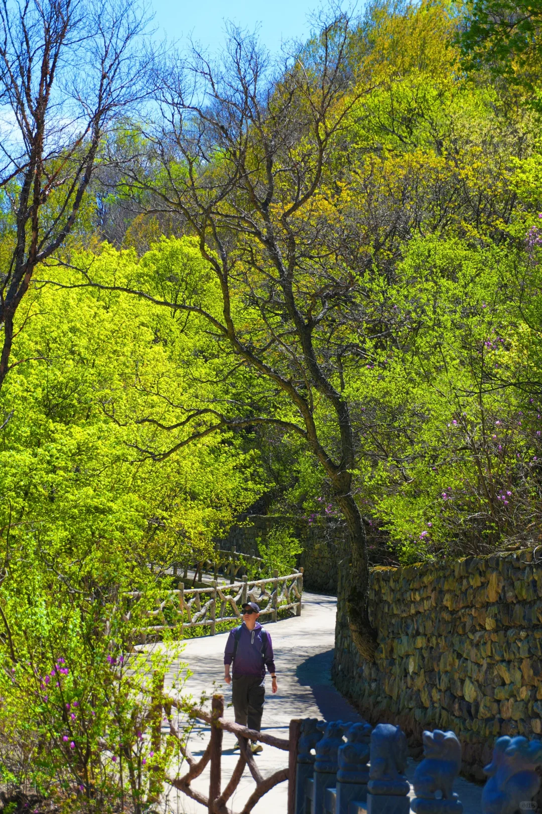 反向旅游是真的香❗️承包整片风景，野心友好