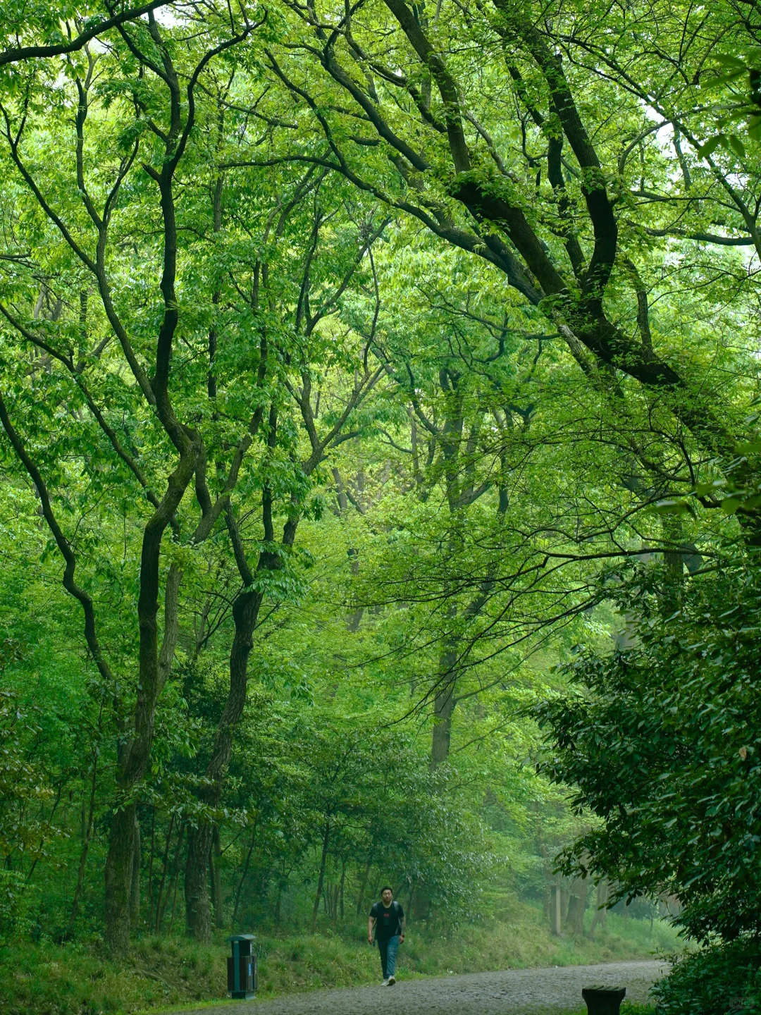 人生建议‼️五一来南京，千万不要错过这里