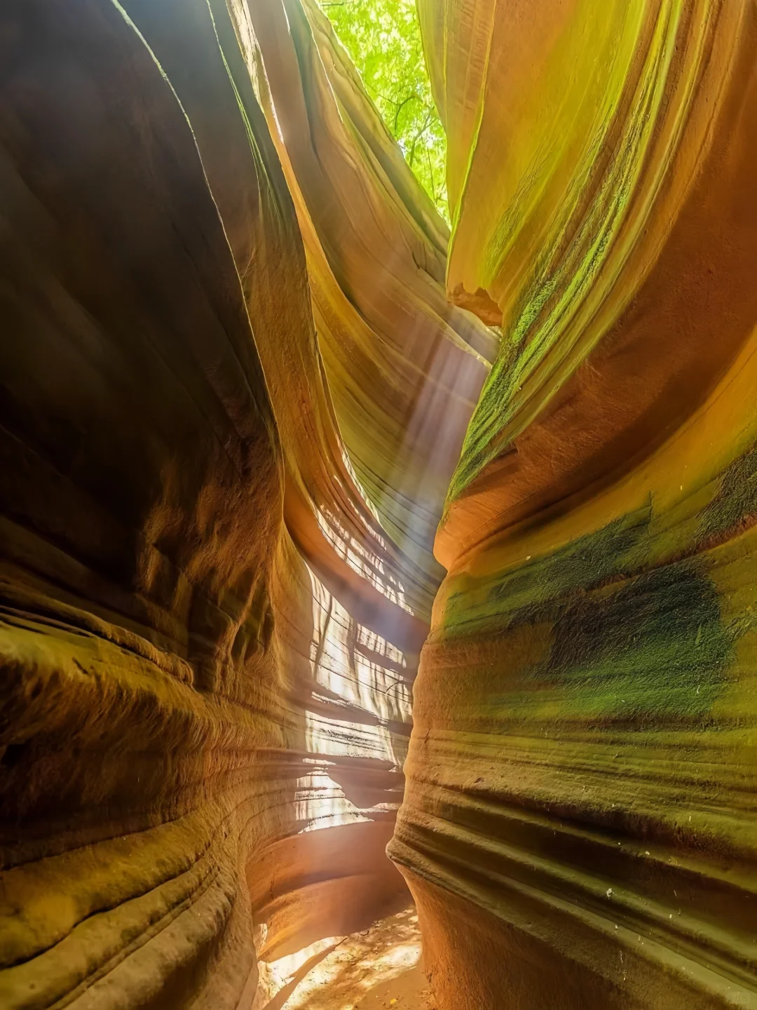 《国家地理》没骗我!最震撼的羚羊谷竟在陕北!