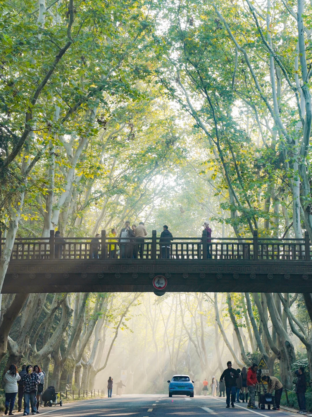 人生建议‼️五一来南京，千万不要错过这里