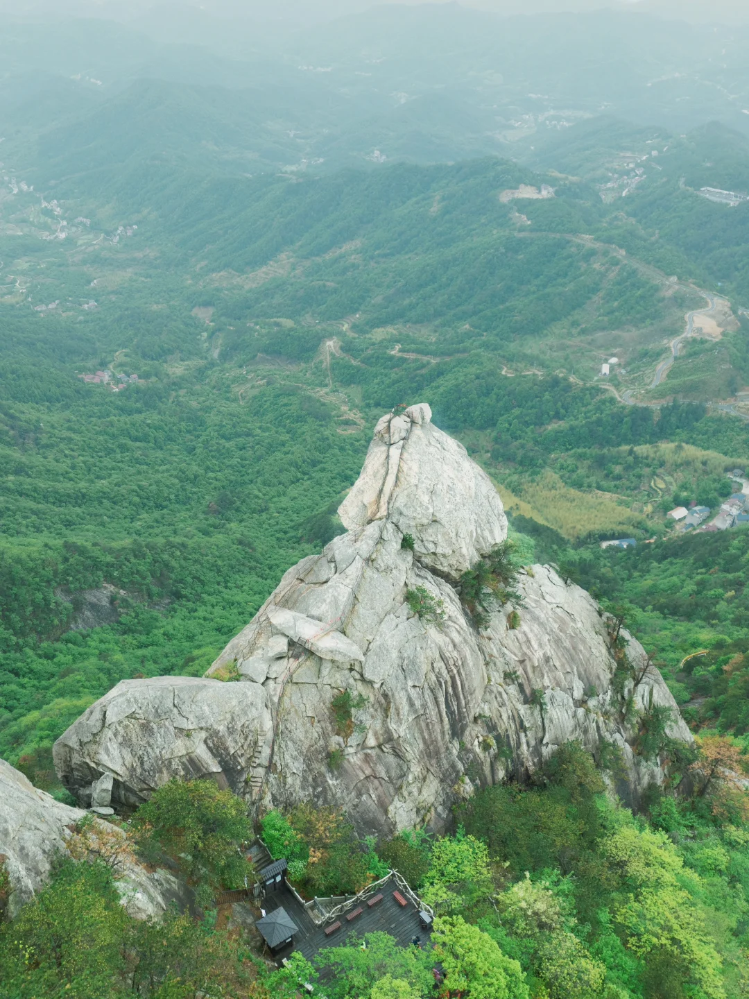 武汉2h,这里杜鹃花🌺已开爆!速来!附攻略