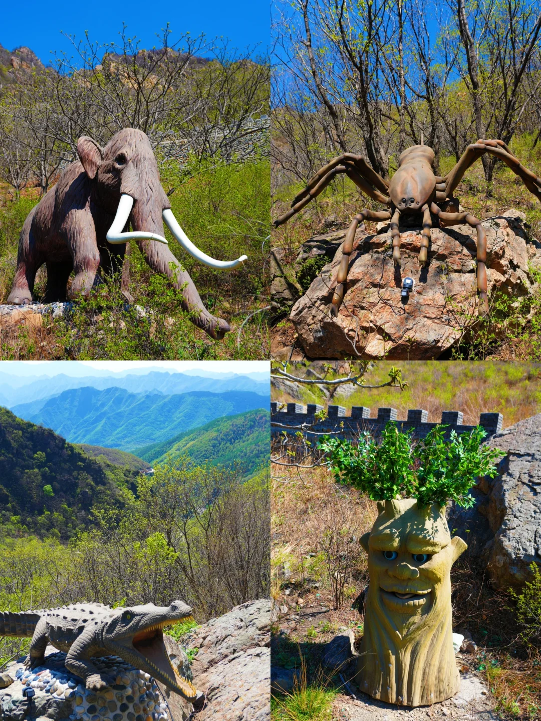 反向旅游是真的香❗️承包整片风景，野心友好